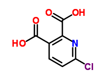 6-Chloropyridine-2,3-dicarboxylic acid cas  127437-44-9